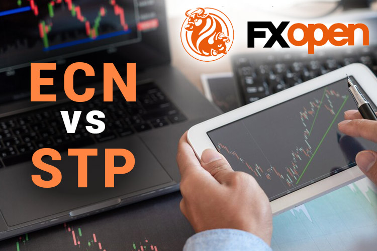 FXOpen ECN vs STP Account