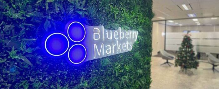 blueberry markets