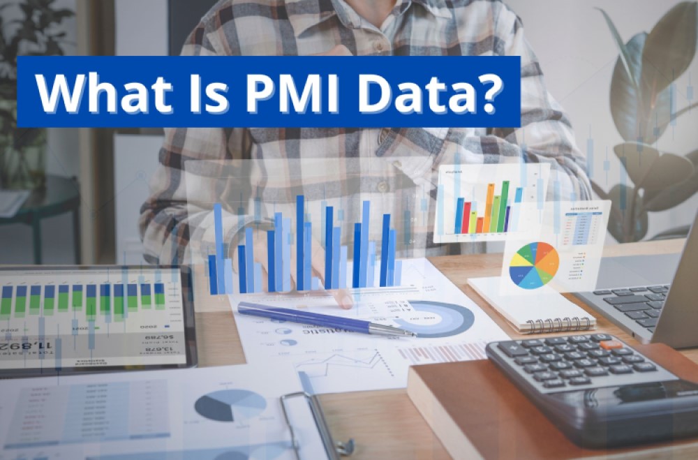 Guide to PMI Data