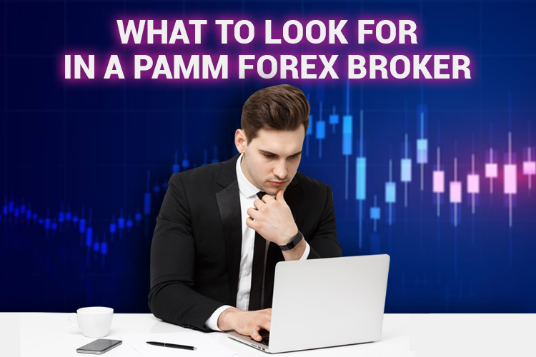 Is Forex PAMM Profitable?