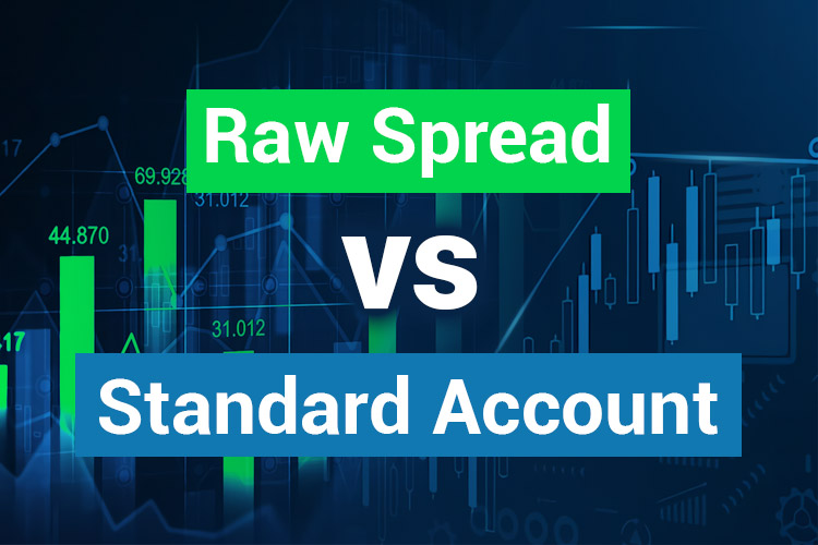 Raw Spread or Standard Trading Account
