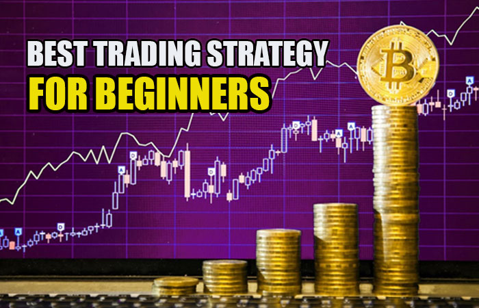 Cryptocurrency Trading Strategies for Beginners