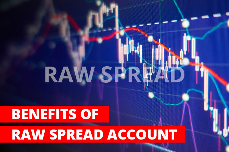 Raw Spread Account in Forex Brokers