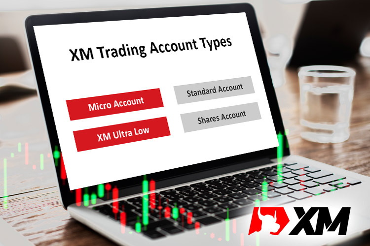 XM Trading Account Types