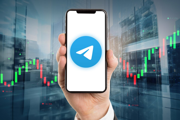 Forex Brokers Telegram Channels