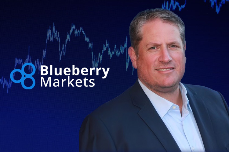 Blueberry Markets