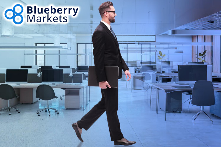 BlueberryMarkets